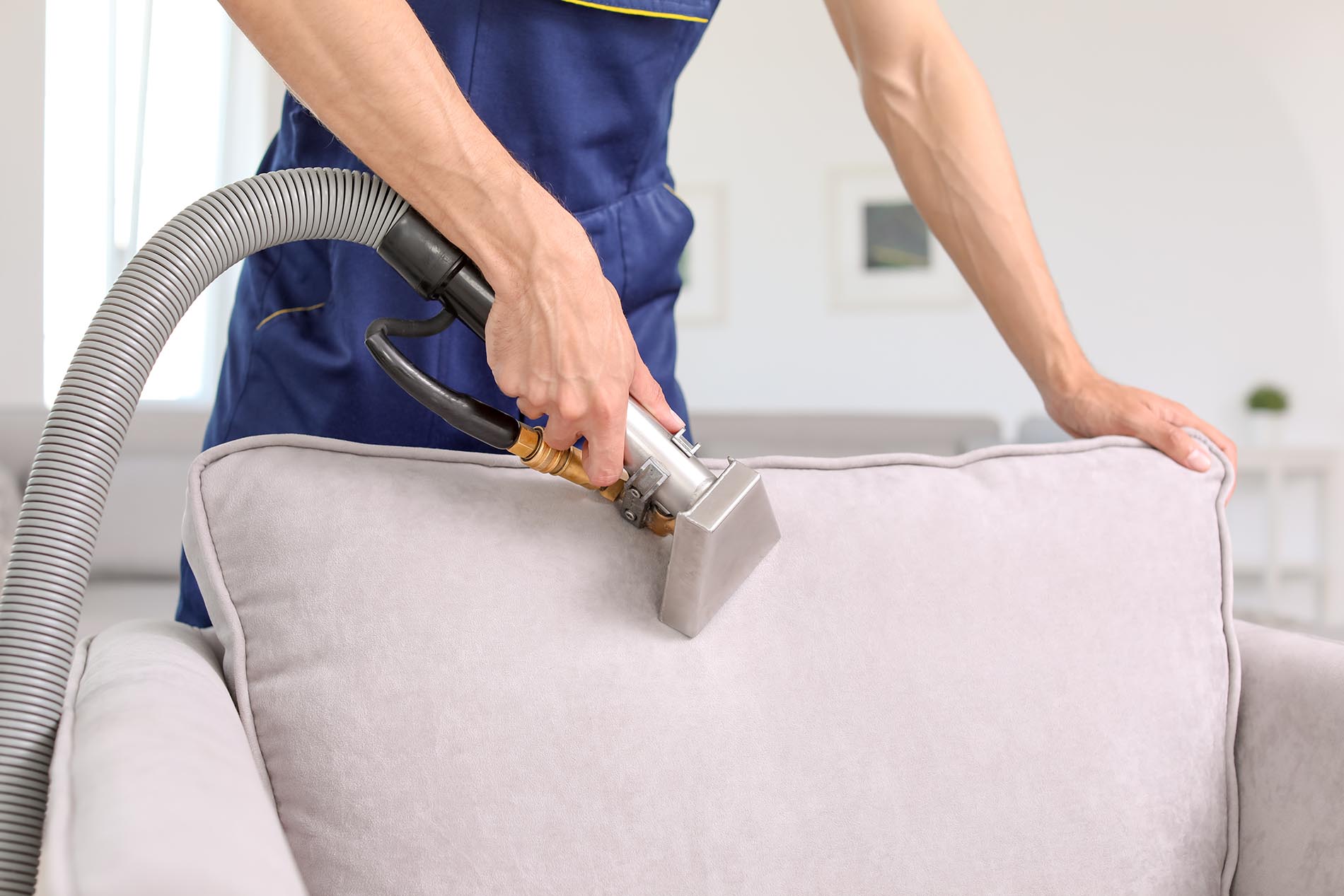 Dry cleaning worker removing dirt from armchair indoors